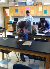 Students examine nematodes under dissecting microscopes a